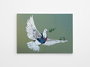 Wallity WY15 Banksy 50 x 70 cm